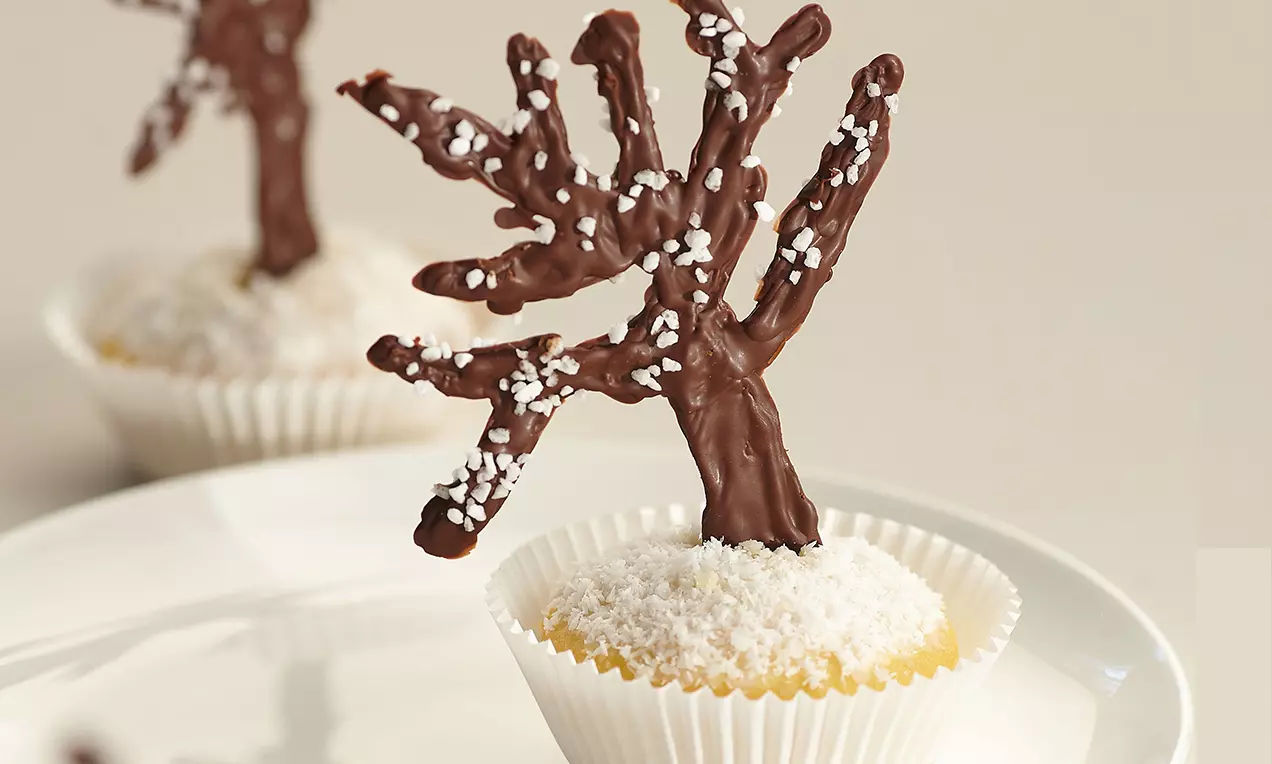 Dolcetti in pirottini bianchi con base soffice al cocco, sormontati da alberelli di cioccolato scuro punteggiati di granelli bianchi