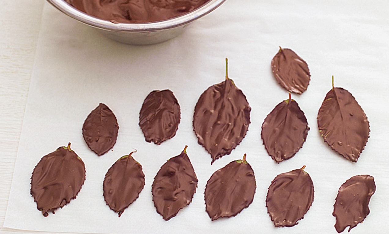 Picture - feuilles de chocolat déposer