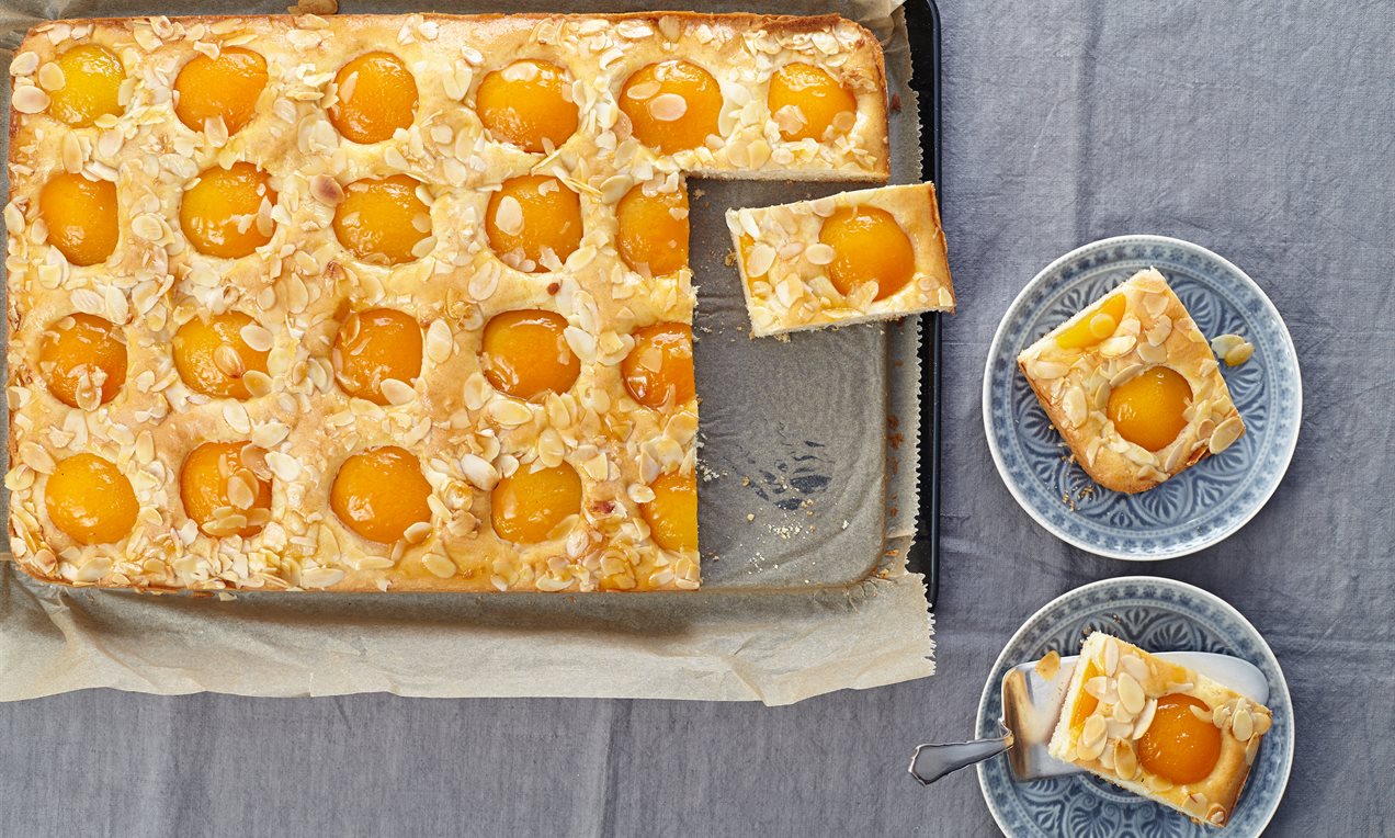 Aprikosenkuchen vom Blech Rezept | Dr. Oetker Aprikosenkuchen vom Blech Rezept | Dr. Oetker